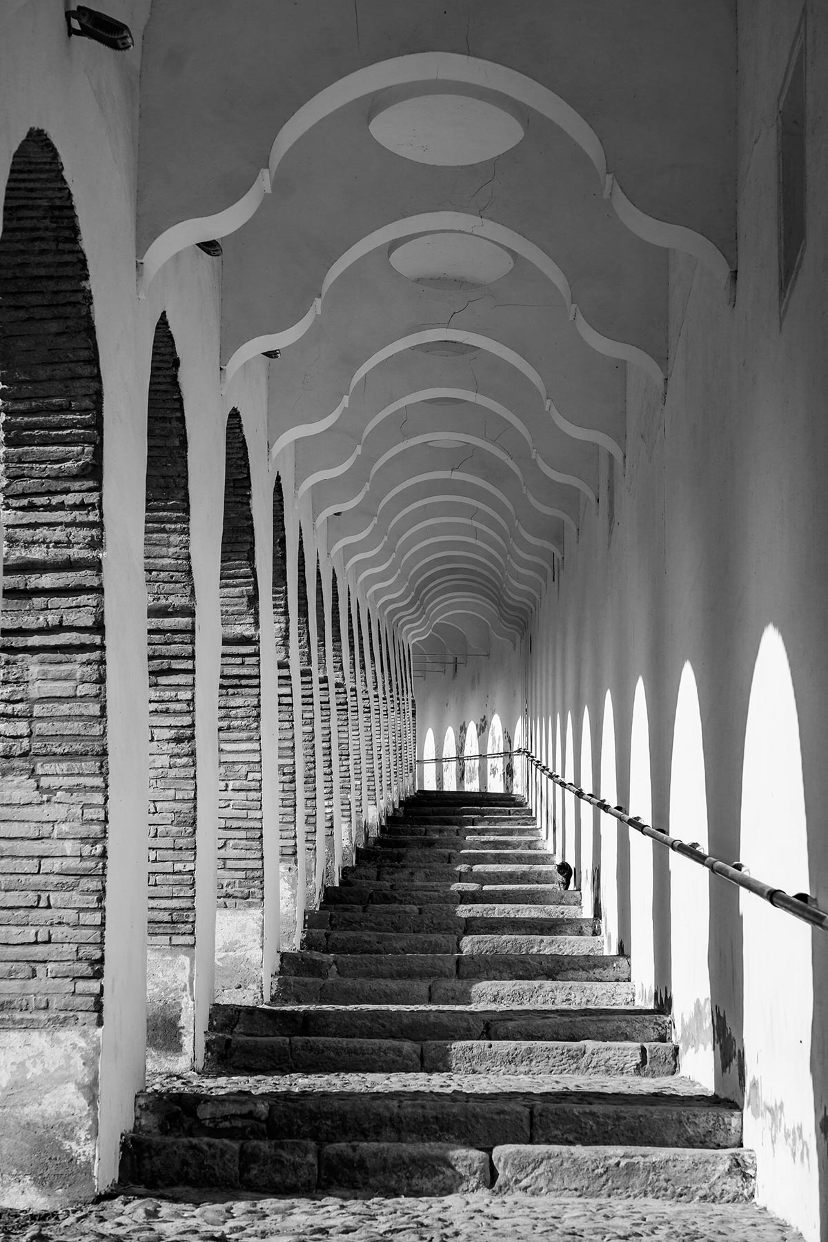 Consurso FotoVino Malón de Echaide Categoría Cascante