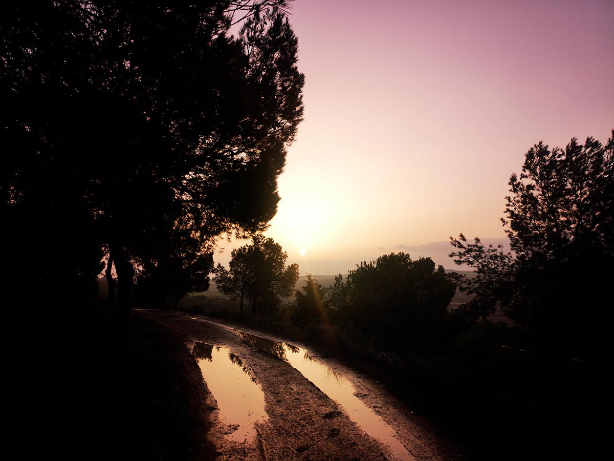 Atardecer desde el parque forestal Boalares ACCÉSIT