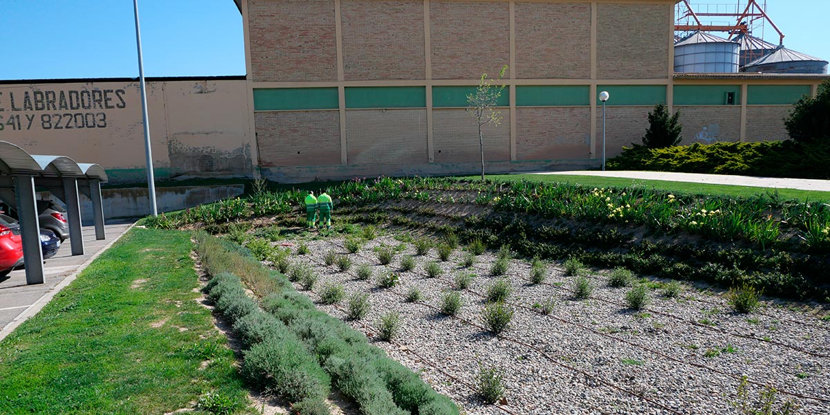 Los jardines de la UPNA de Tudela son capaces de atenuar inundaciones