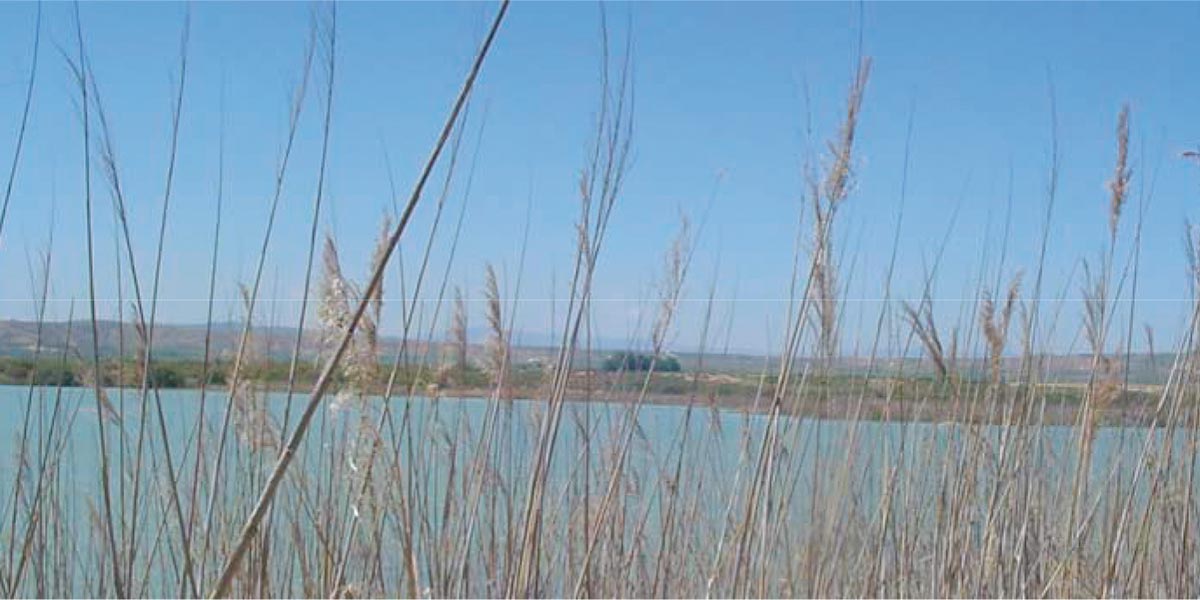 Balsa El Pulguer en Tudela