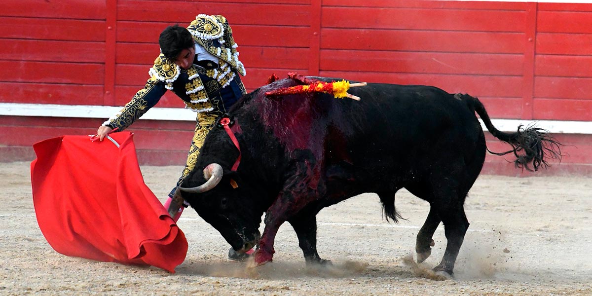 Imanol Sánchez Puerta grande Sangüesa (foto Carlos Pi) 9