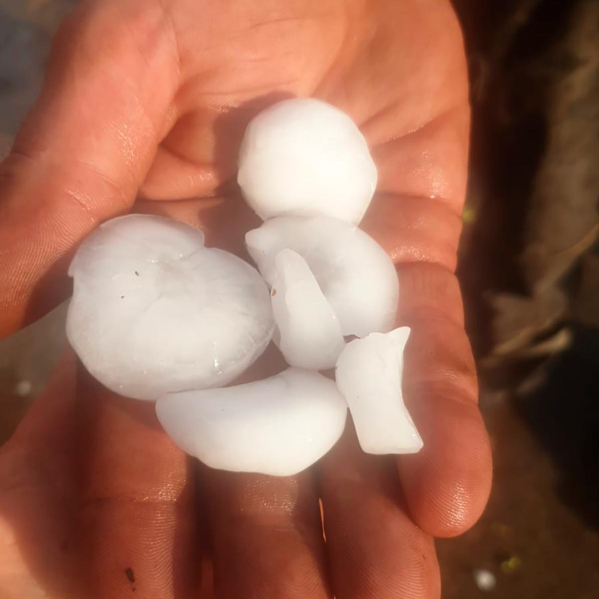 Granizada en Fustiñana y Cabanillas 4