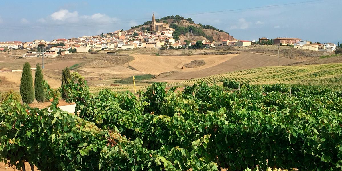 Vista de Larraga