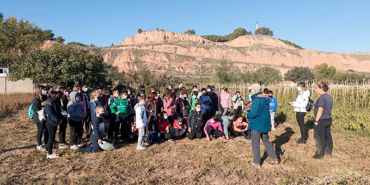 Los alumnos en la plantación de La Mejana