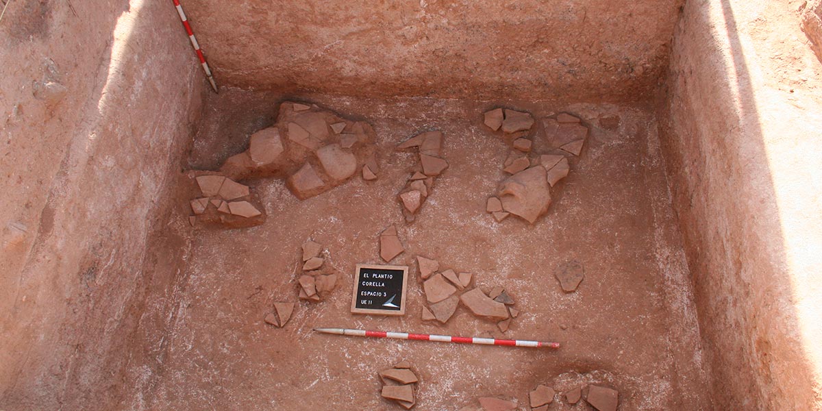Campaña de excavación de ‘El Plantio’ en 2019