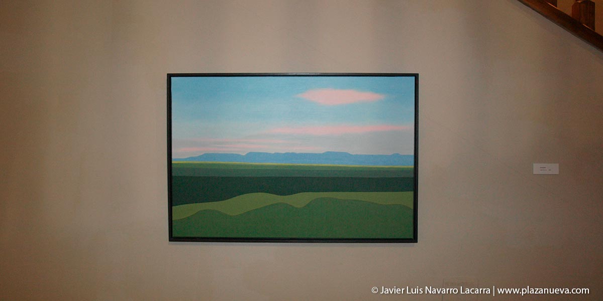 Exposición de Pedro Salaberri 3