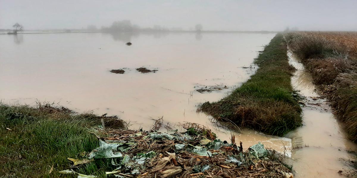 Inundaciones en la finca experimental de INTIA en Cadreita el pasado diciembre