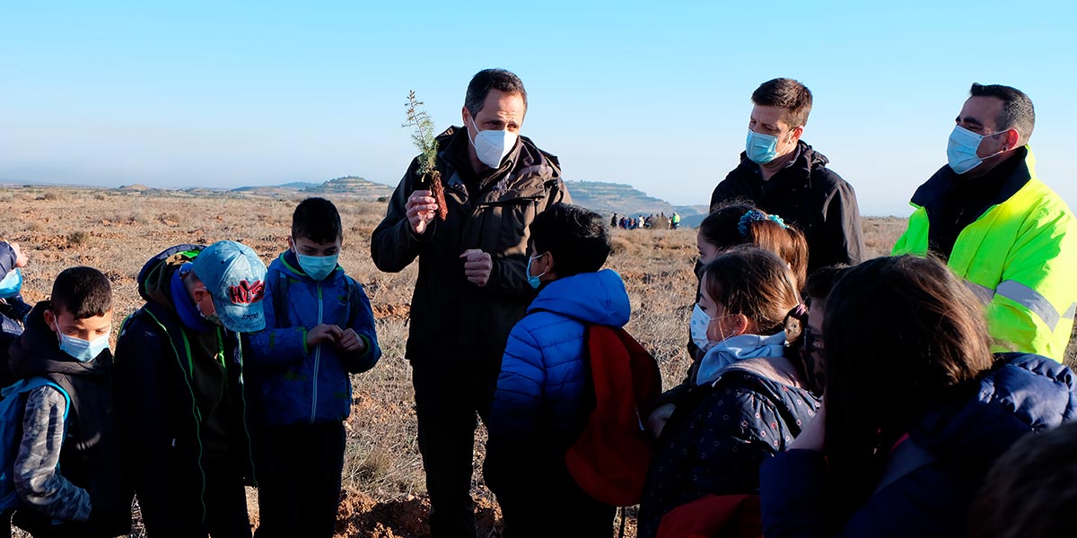 TARAZONA reforestacion escolares 1