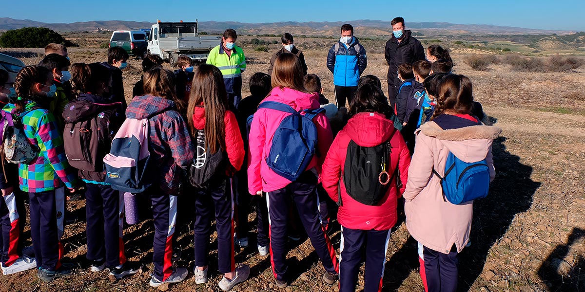 TARAZONA reforestacion escolares