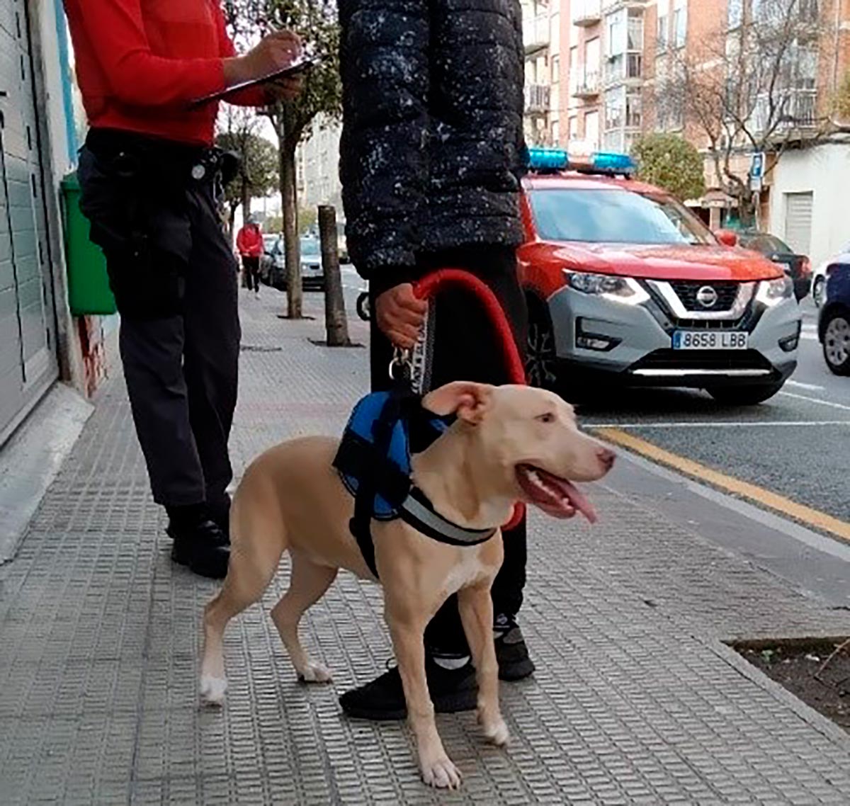 policia foral perro ppp