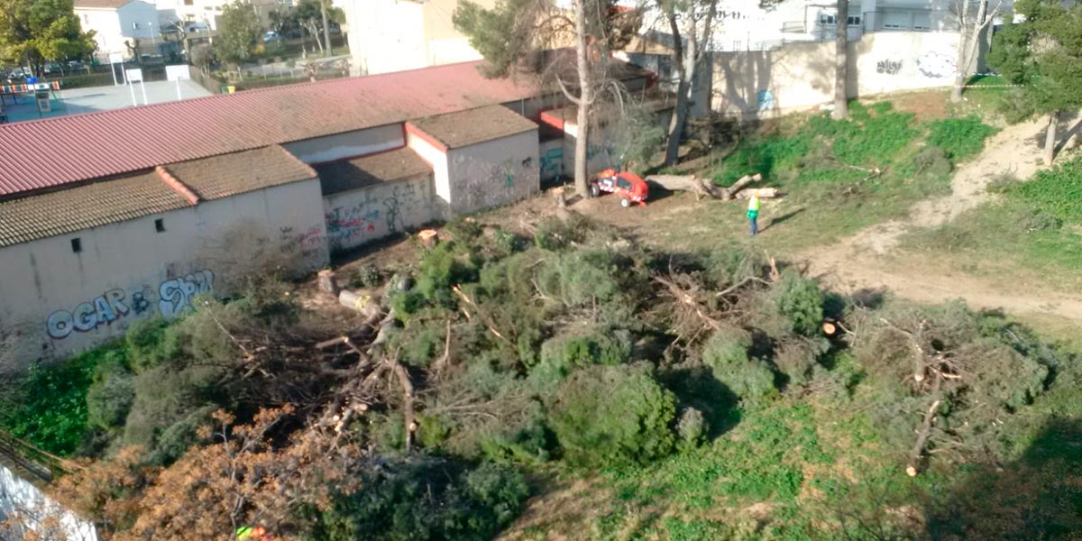 talar pino anunciata lourdes 1
