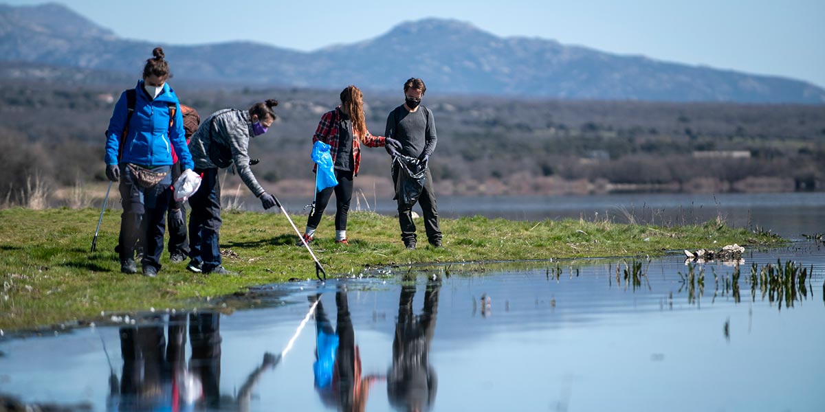 seo bird ecoembes libera limpieza basuraleza playa mar ecologia