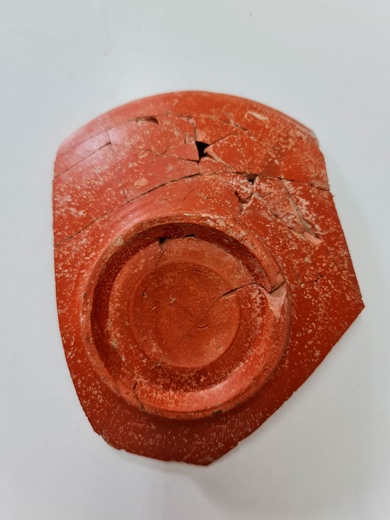 Fragmentos de un plato o cuenco de Sigillata Hispánica