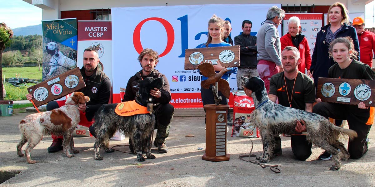 VillaCarmago perros caza becada Ricardo Cornago 2