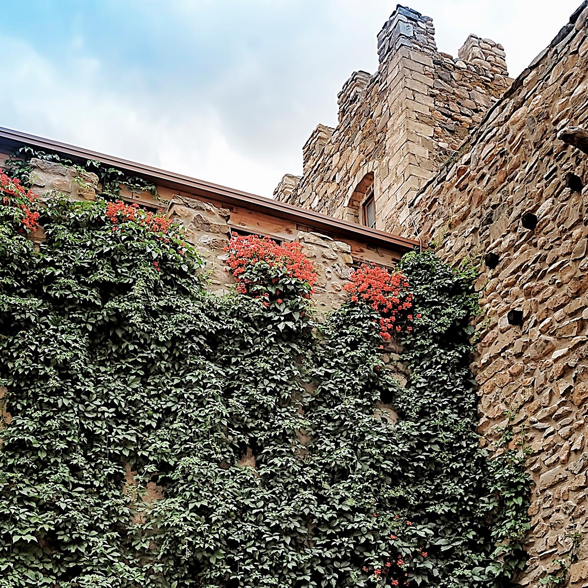 Castillo de Añón 3