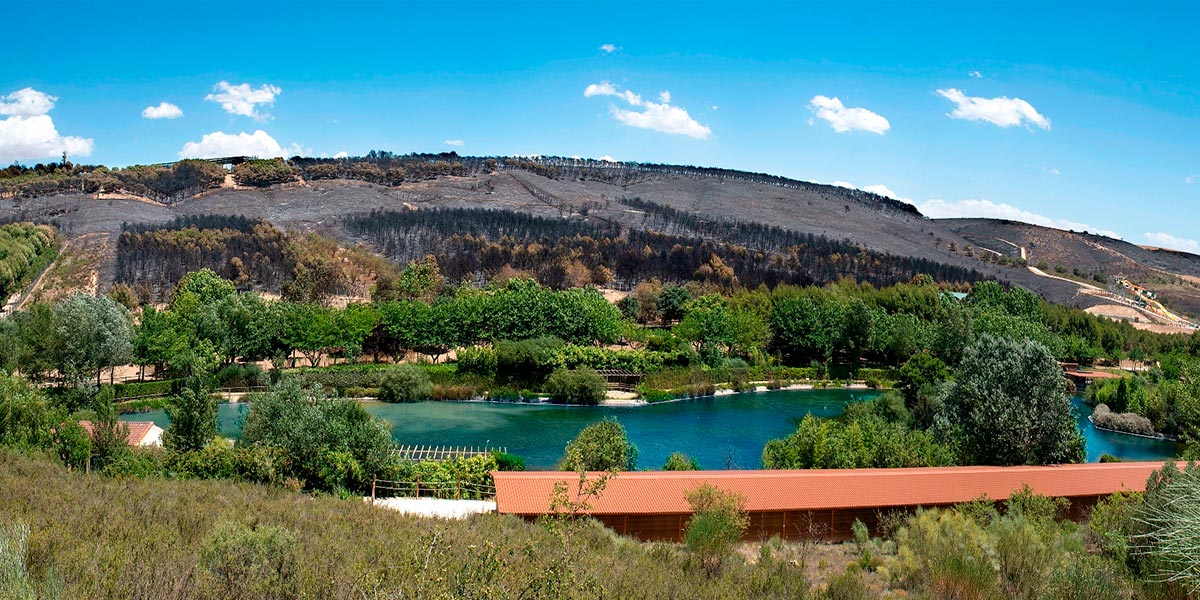 Sendaviva incendio junio 2022