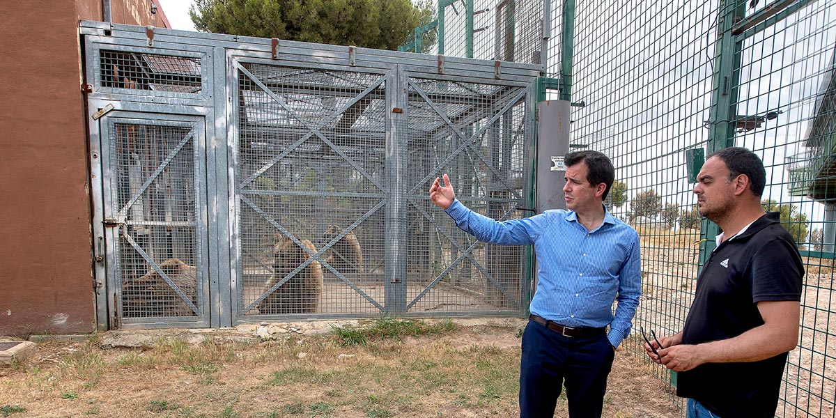 Sendaviva tras incendio junio 2022 2