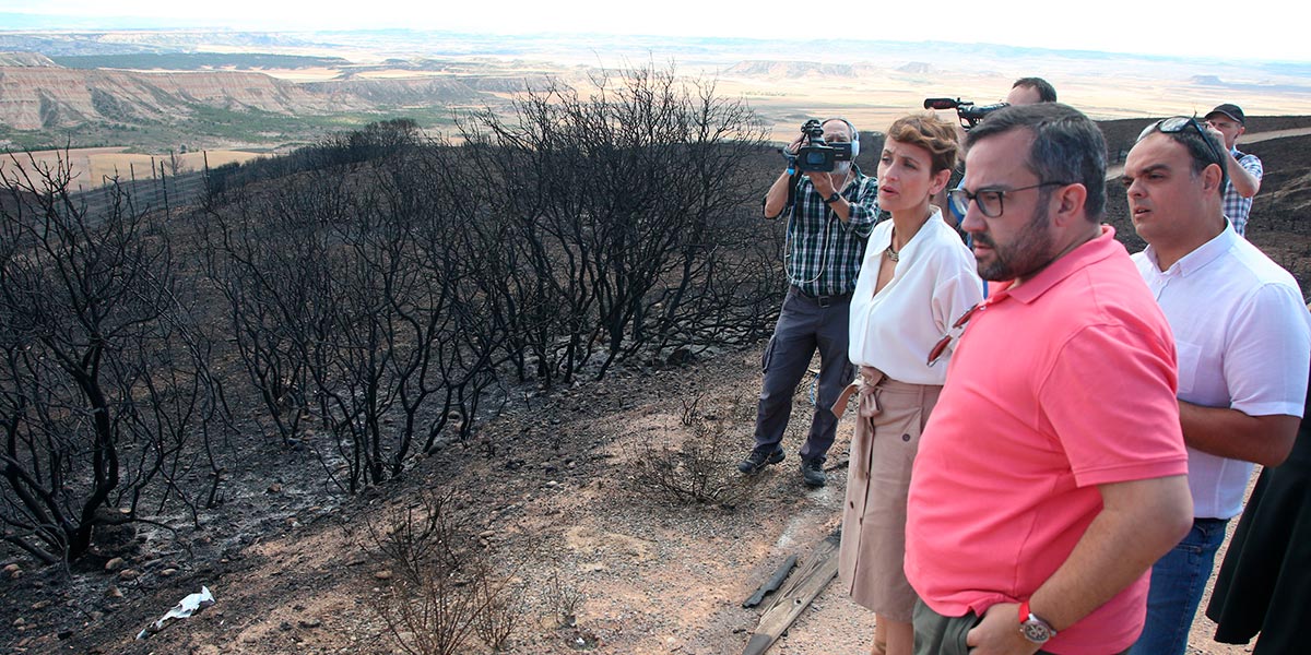 Chivite incendio Sendaviva 1
