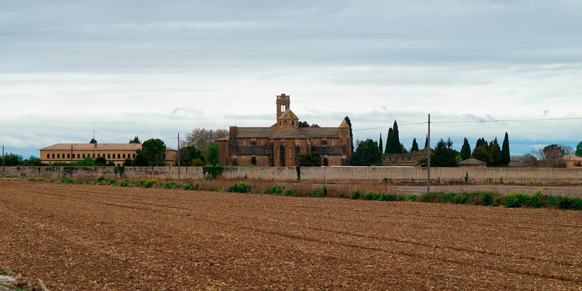 El Císter y el Monasterio de la Oliva 4