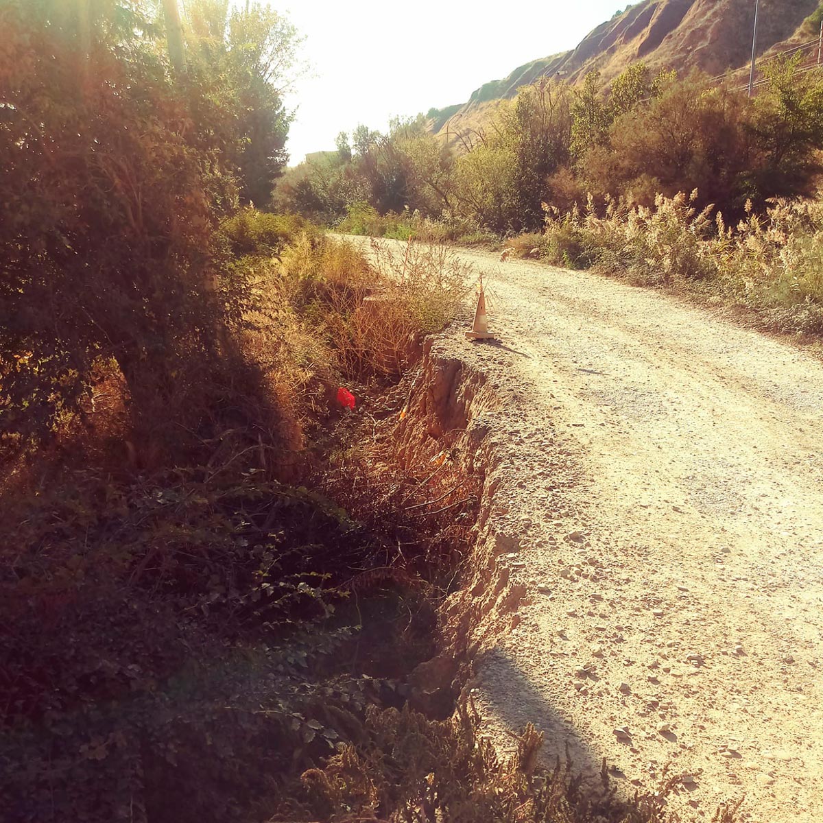 Camino de la Mejana mal estado 1