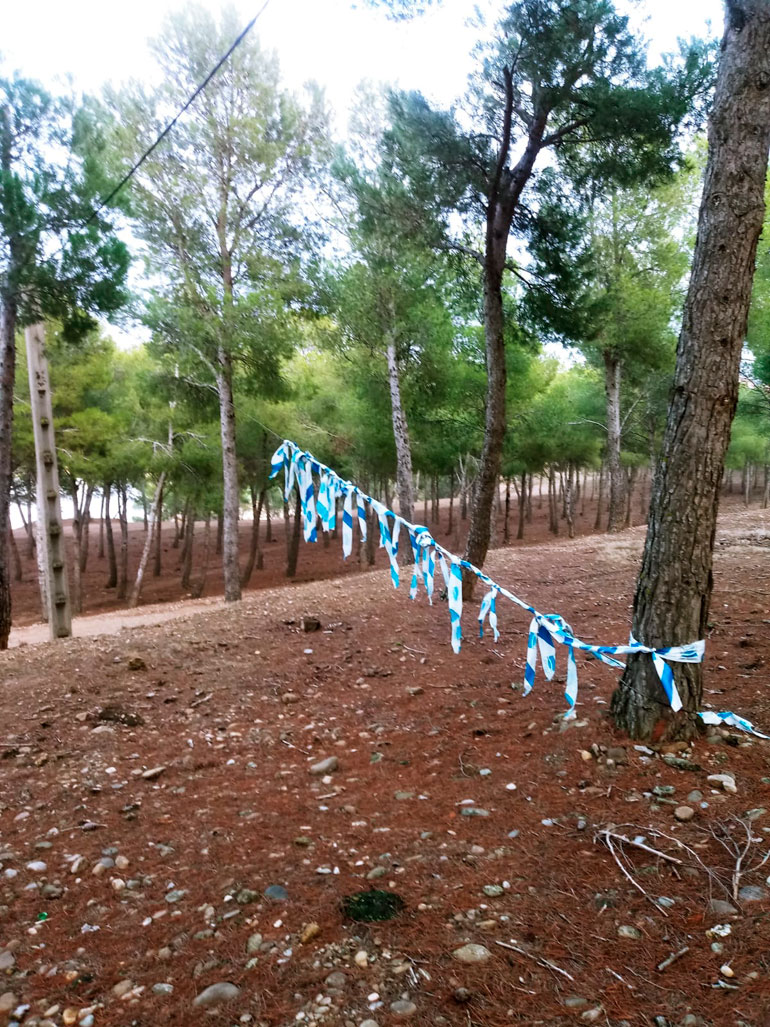 Mejoras en los parques de Tudela 3