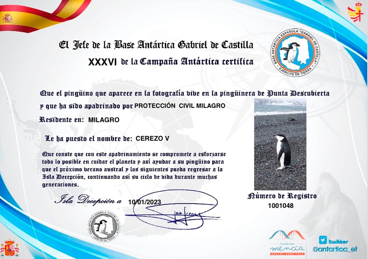 Protección Civil Milagro pingüino