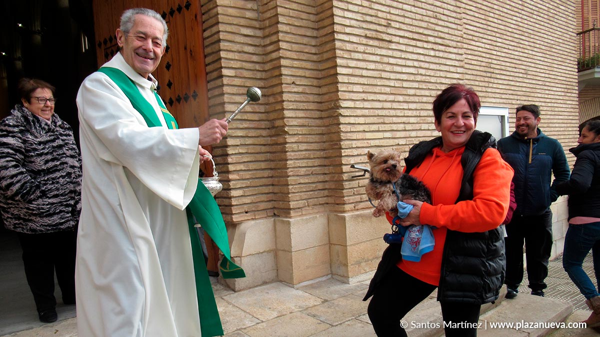 Murchante San Antón 3