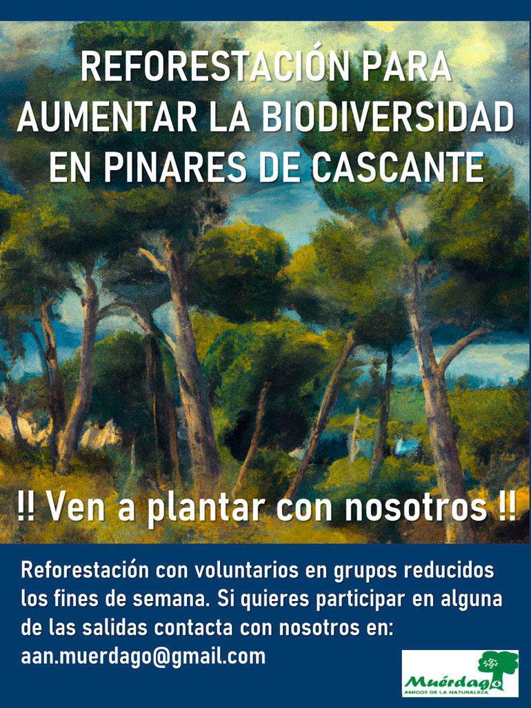 Reforestación para aumentar la biodiversidad en pinares de Cascante