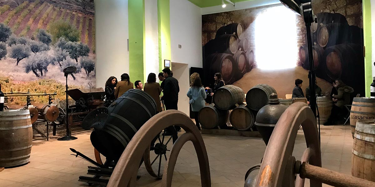 Rioja Oriental Museo Aldeanueva