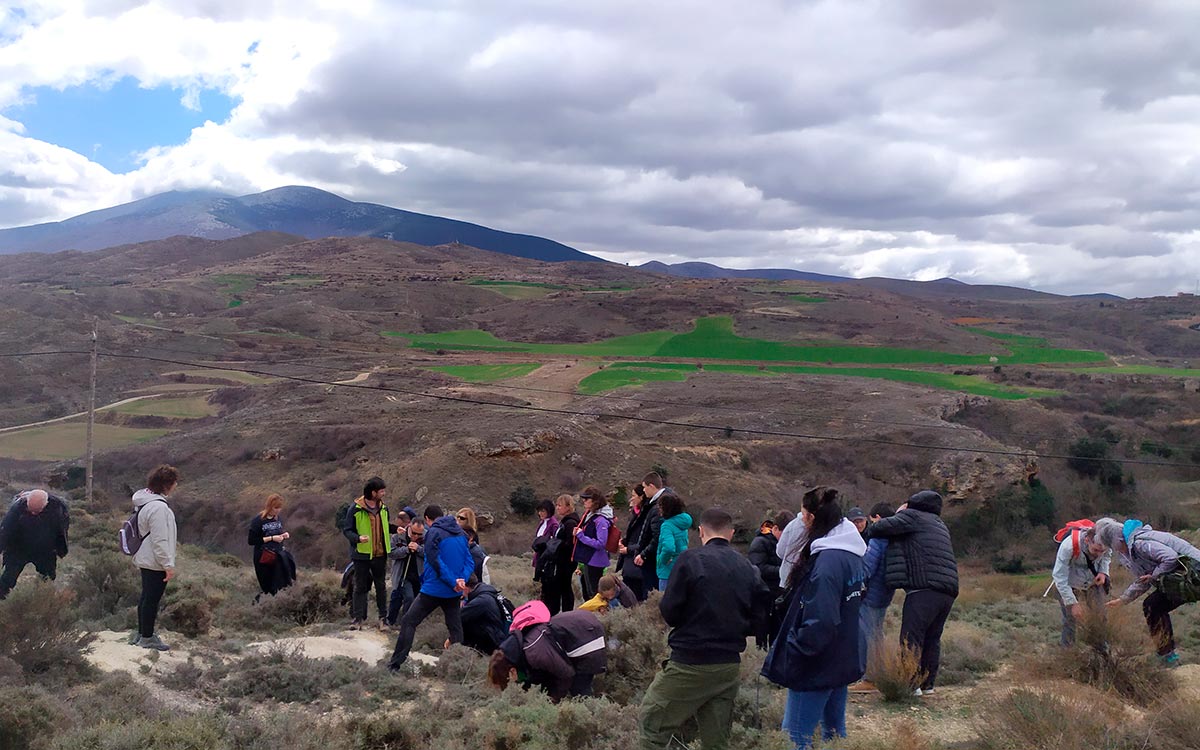 Ágreda yacimiento 3