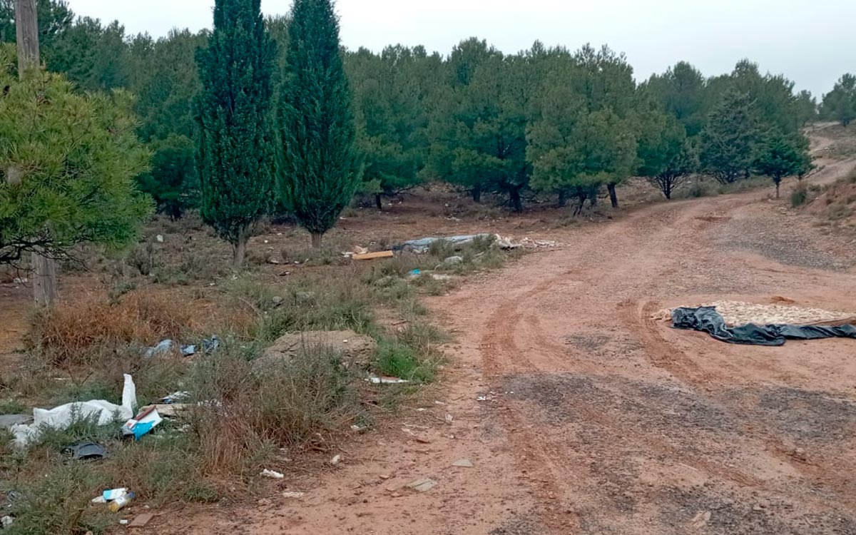 Tudela residuos a las afueras 4