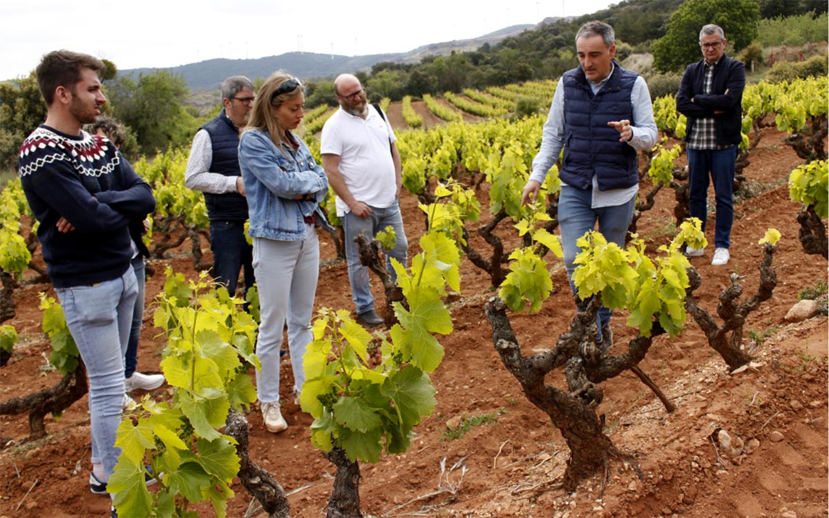 Ruta del Vino Rioja Oriental Quel Arizcuren 3
