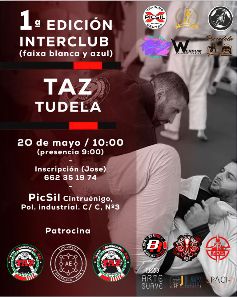 Cartel TAZ Tudela interclubes