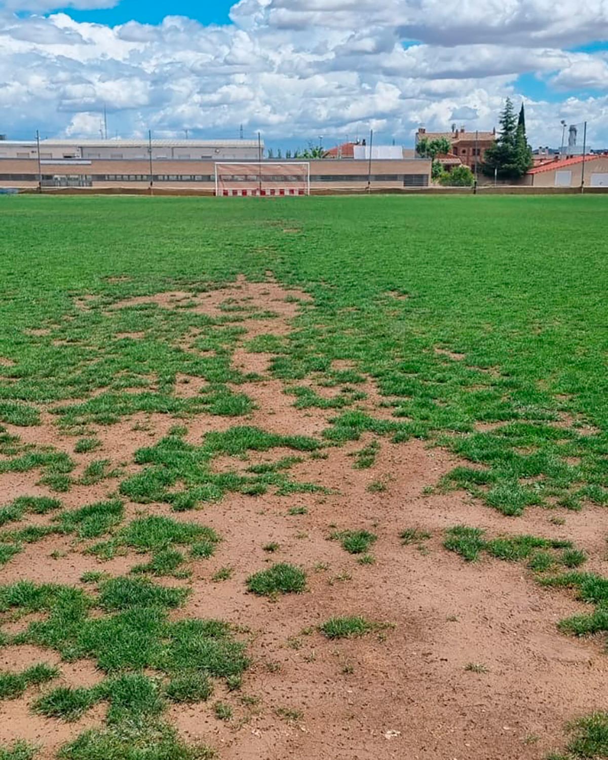Castejón campo fútbol hierba natural 2