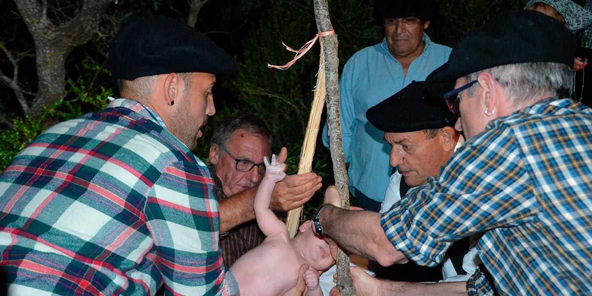 Lobera de Onsella. Rito del herniado. Pasando al niño por el roble