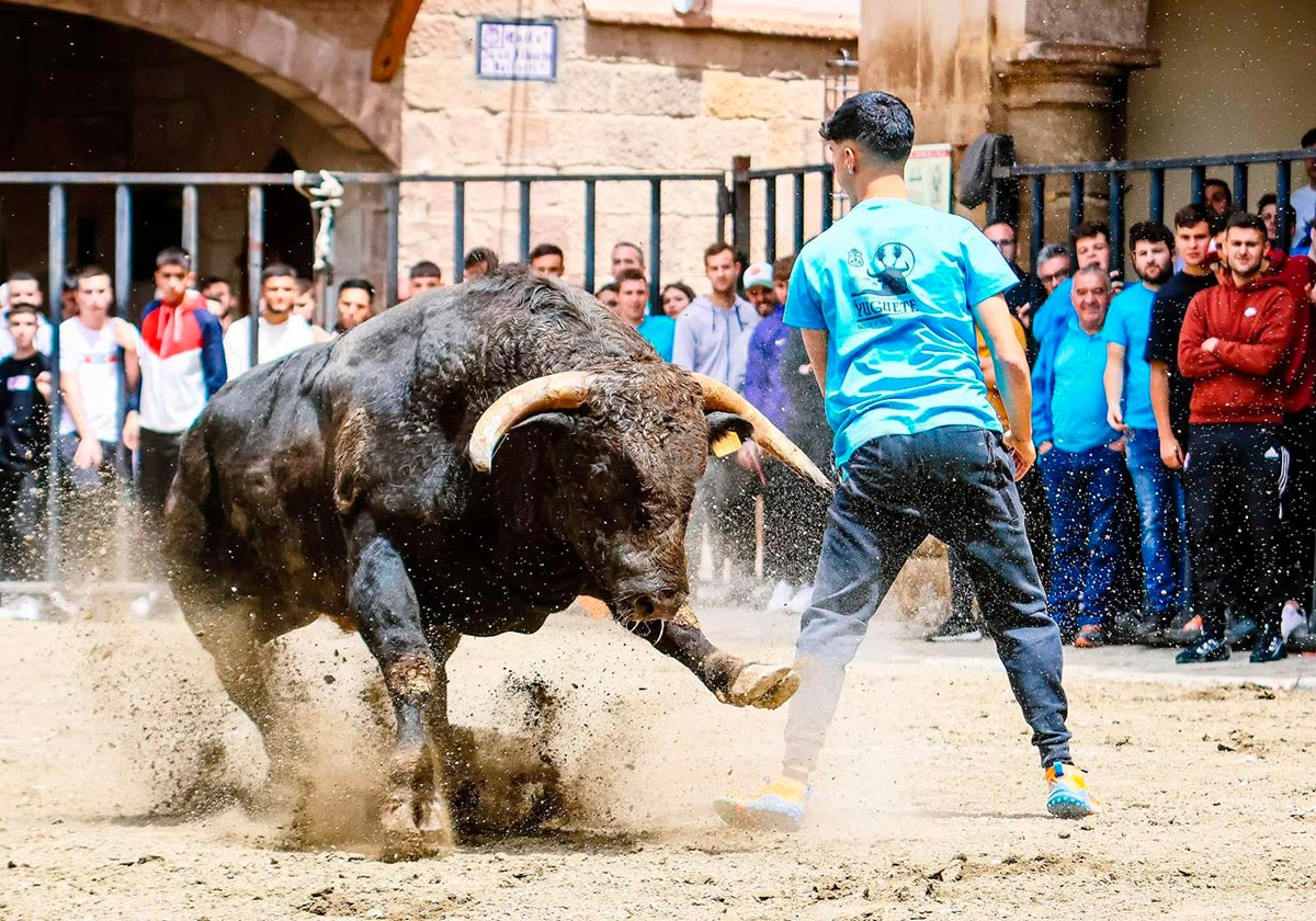 Pablo Saso quebrador recortador 2023