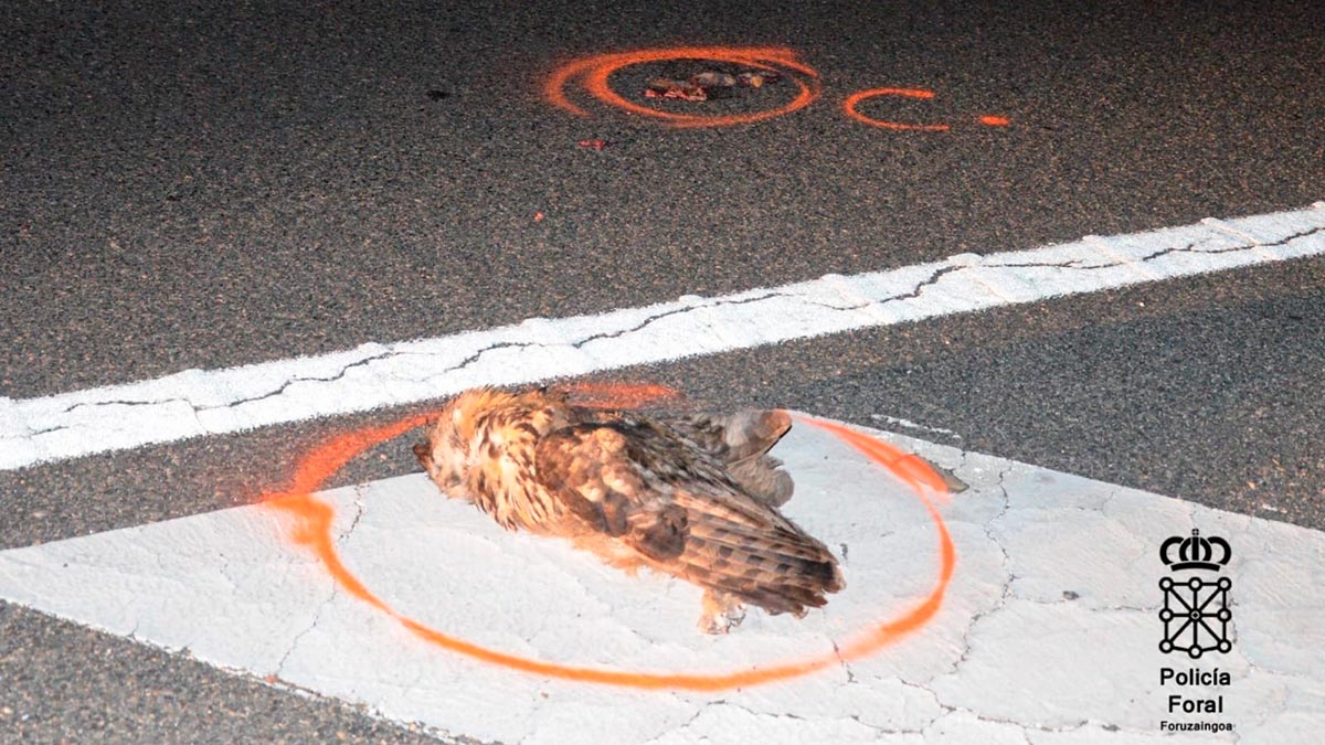 Policía Foral accidente Castejón 1