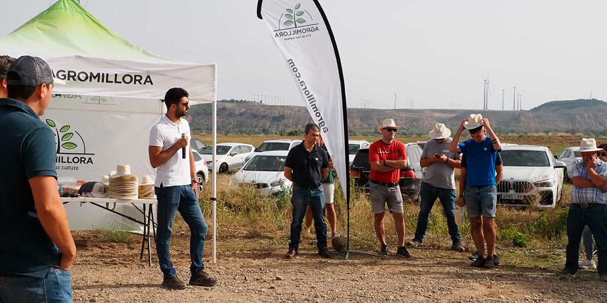 Agromillora almendro 2