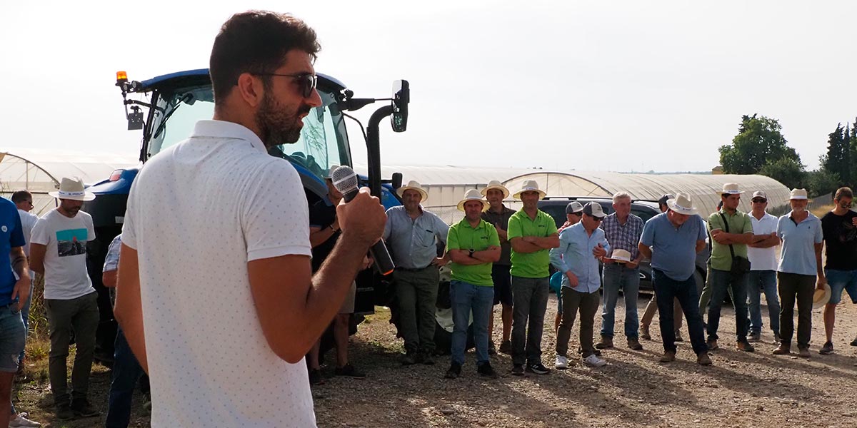 Agromillora almendro 3