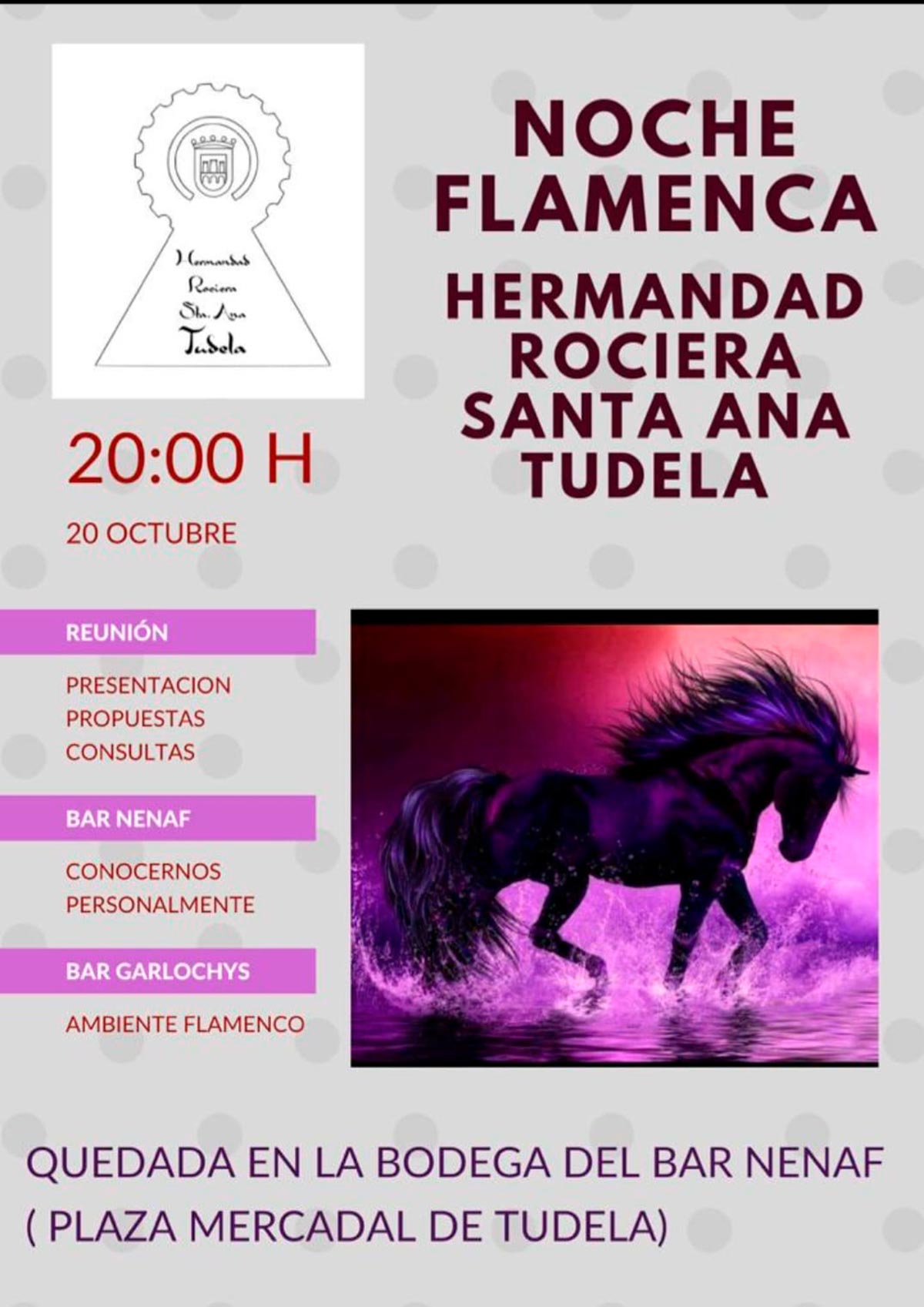 Hermandad Rociera Santa Ana Tudela reunión