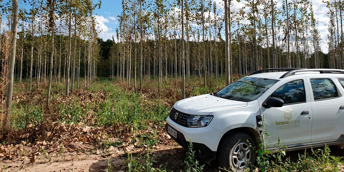 Chopos Foresna