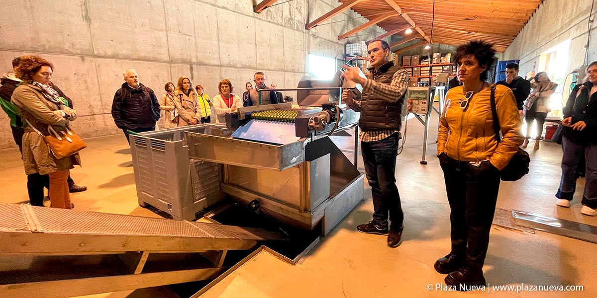 El Pago Hacienda Queiles abre sus puertas al público con una tienda totalmente renovada 3