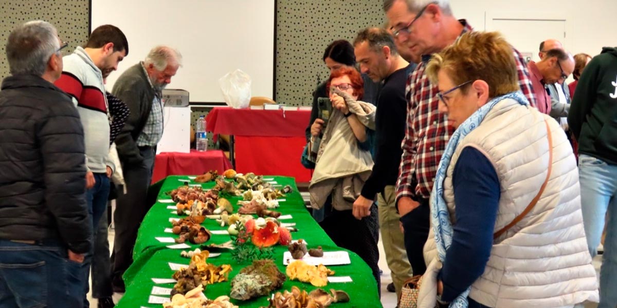 XXXI Jornadas micológicas de Cascante 2