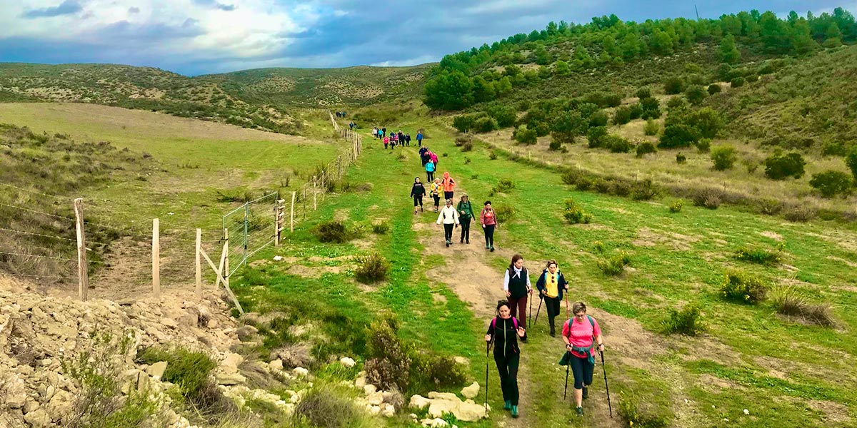 III Jornadas Medioambientales de Peralta 2023 4