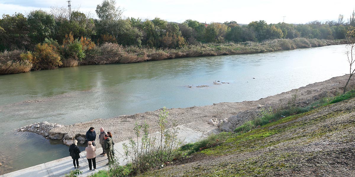 Vista del rio Arga a su paso por Falces