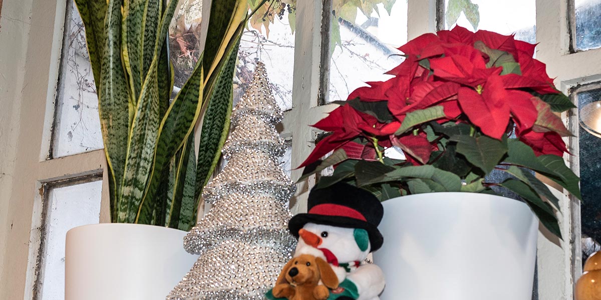 Cada hogar tiene su propia forma de crear la Navidad