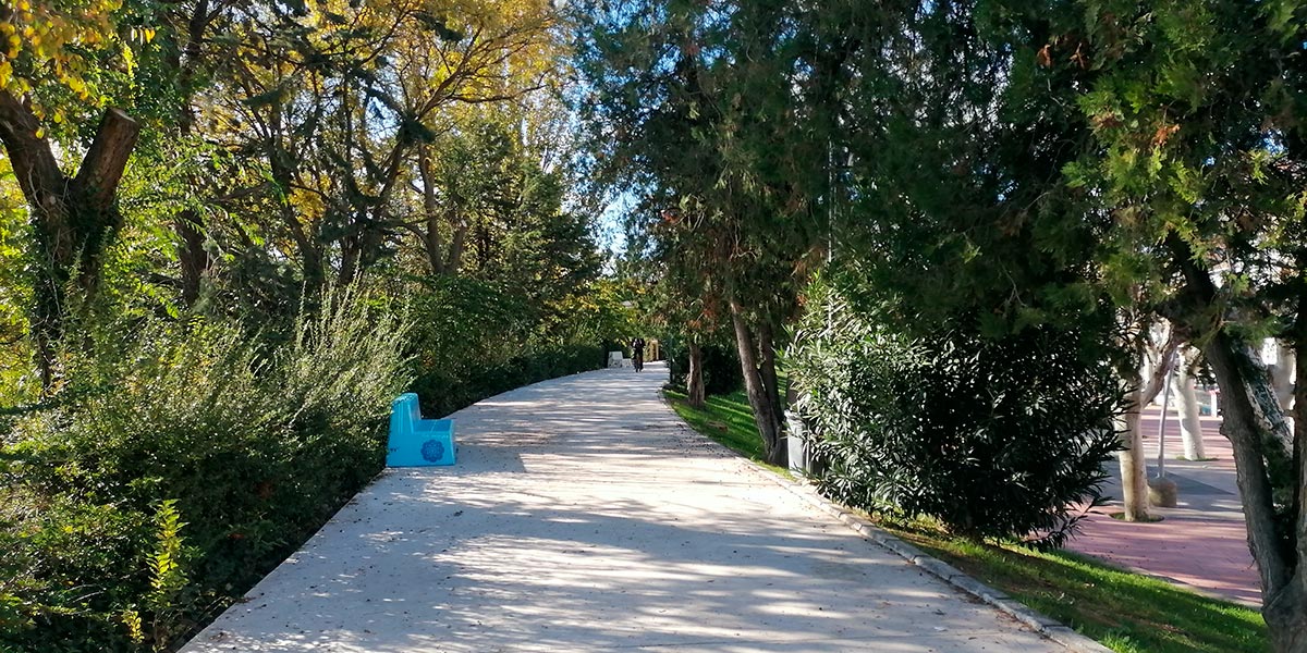Ruta del Visón