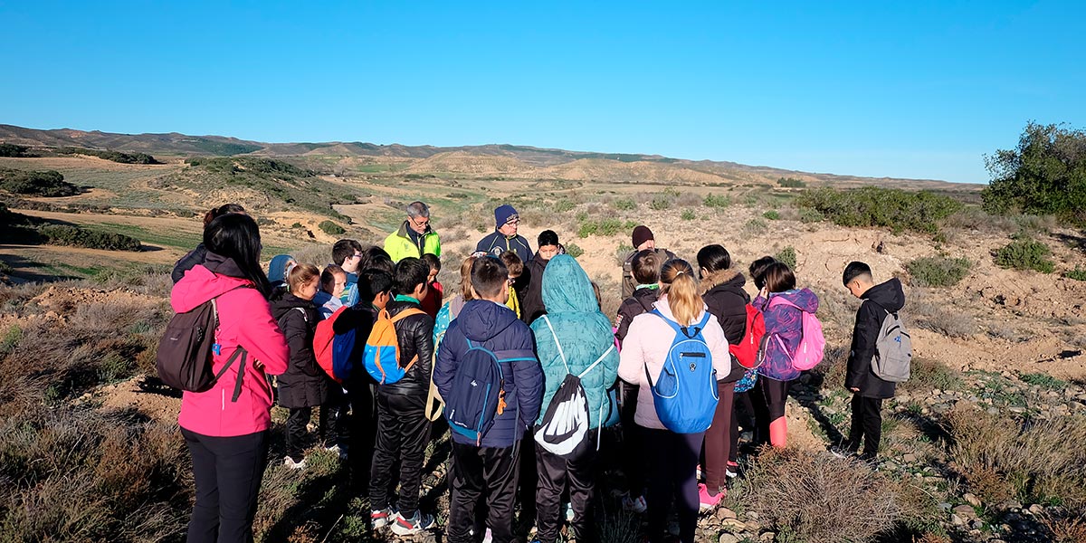 Repoblación monte Tarazona 4