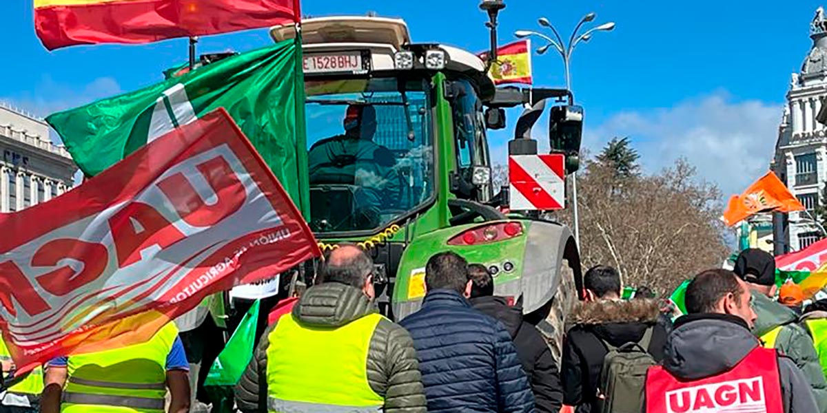 Agricultores navarros en Madrid