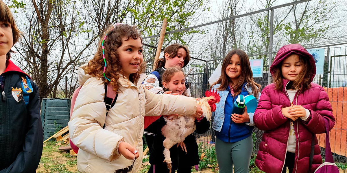Los alumnos del CPEIP Griseras durante su visita al instituto Valle del Ebro 3